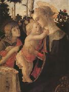 The Virgin and child with John the Baptist (mk05) Botticelli